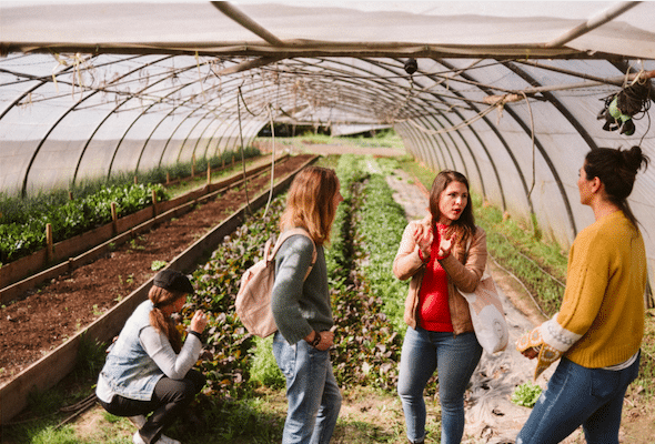 greenhouse.farm.tour.tasting